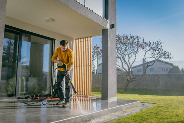 Best Roof Cleaning and Mildew Removal in Bergenfield, NJ